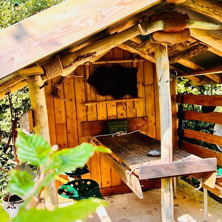 La Cabane Perchee Du Trappeur Écrainville Esterno foto