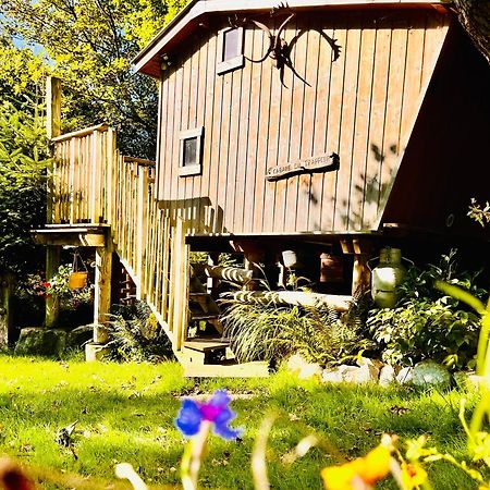 La Cabane Perchee Du Trappeur Écrainville Esterno foto