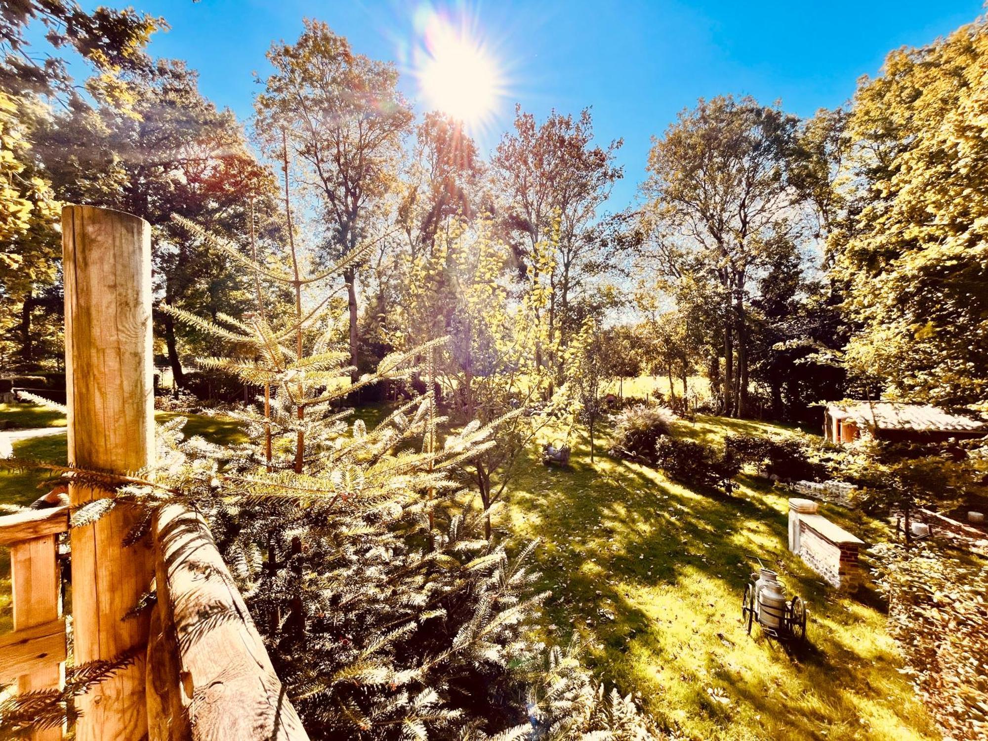 La Cabane Perchee Du Trappeur Écrainville Esterno foto