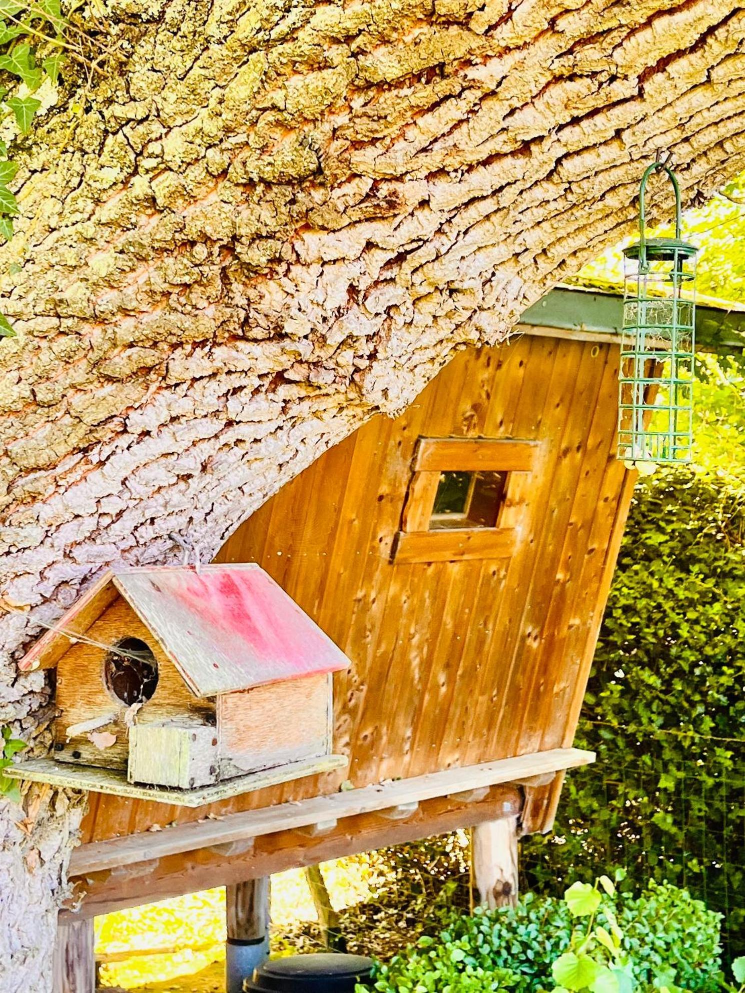 La Cabane Perchee Du Trappeur Écrainville Esterno foto
